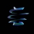 sortie 2026_001